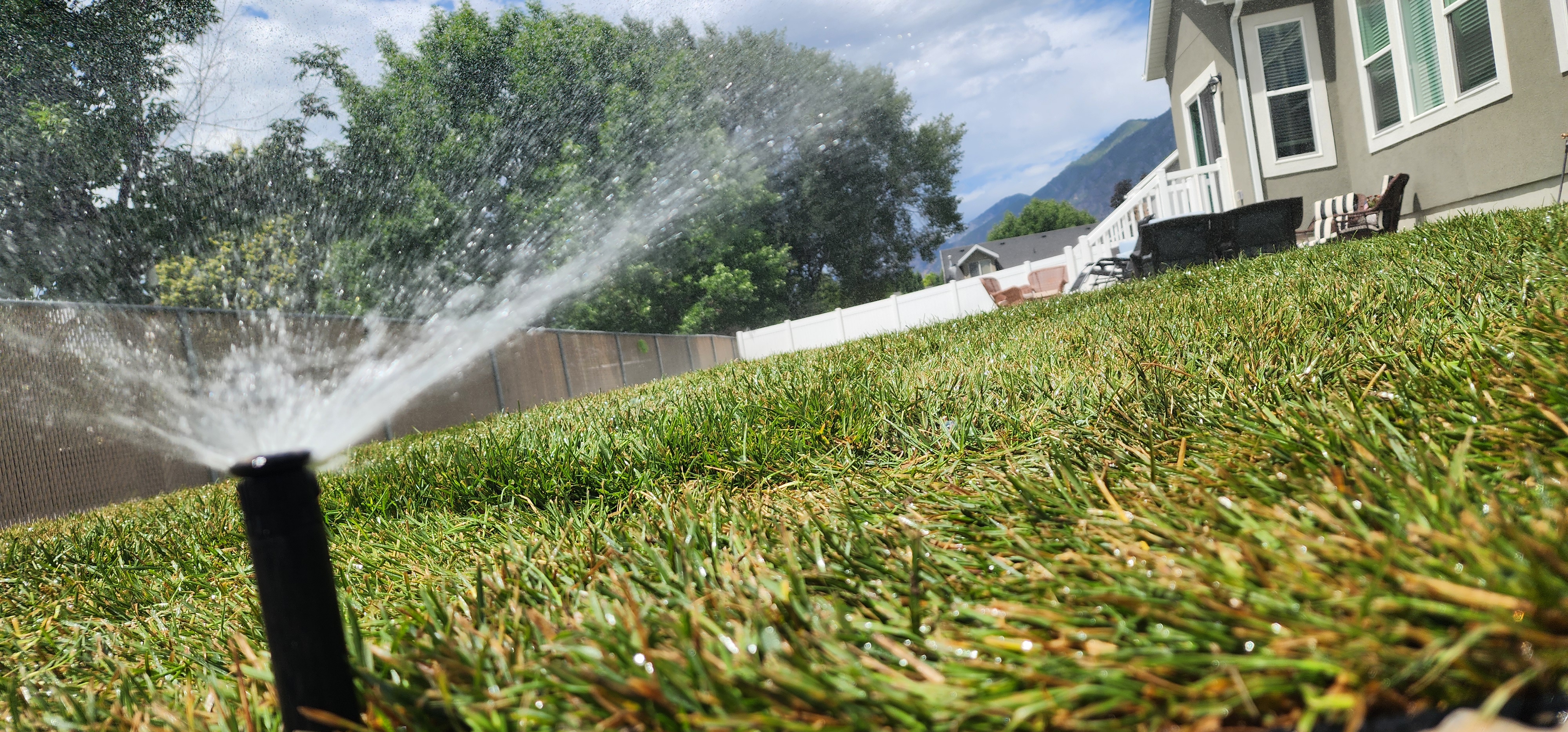 Landscaping project photo